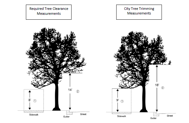 tree trimming diagram